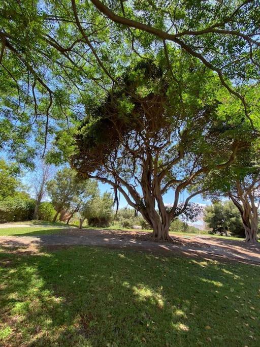 Apt Moderno Con Vistas, Recepcion 24 Hs Y Piscinas بينالماذينا المظهر الخارجي الصورة